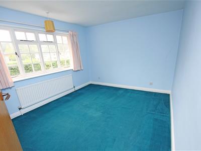 Picture 15